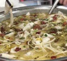 Chongqing Sichuan-style Pickled Cabbage and Black Bass Hot Pot