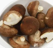Shiitake Mushroom