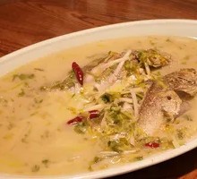 Snow Cabbage Yellow Croaker