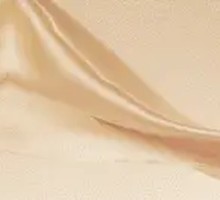 Crispy Fried Small Mackerel