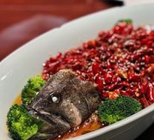 Boiling Tiger Grouper