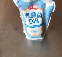 Bright Lactic Acid Bacteria Drink