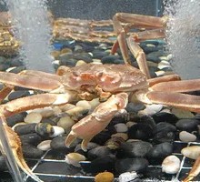 Stir-Fried Garlic and Vermicelli with Leaf Crab