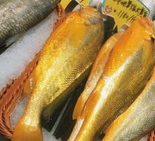 Steamed Yellow Croaker