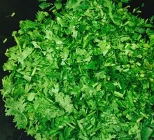 Cilantro碎