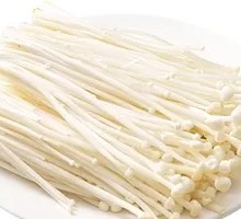 Enoki Mushroom