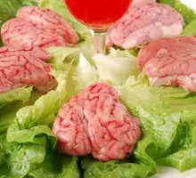 Fresh Pig Brain