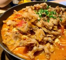 Xinjiang Tomato Frog