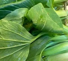 Green Vegetables