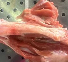 Lamb Leg