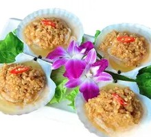 Scallop