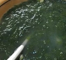 Wild Purple Seaweed Soup