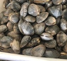 Scallion Oil Clams