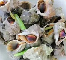 Steamed Abalone
