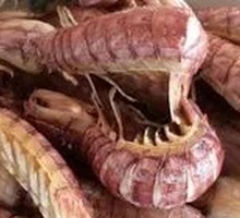 Peeled shrimp