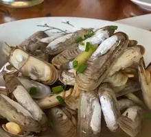 Clam
