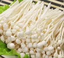 Enoki Mushroom