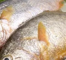 Snow菜 Yellow Croaker Noodles