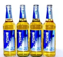 Snowflake Brave Journey