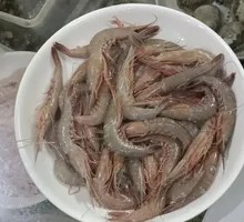 Salted Live Shrimp