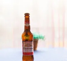 Little Budweiser