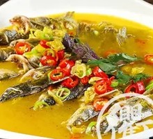 Earthen Pot Burned Wandering Catfish