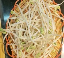 Bean sprouts