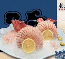 Dongxing Parrotfish Sashimi