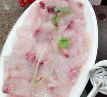 Fish Meat