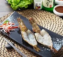 South American Shrimp