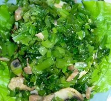 Snow Cabbage Mushroom