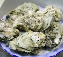 Oyster