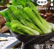 Green Vegetables