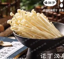 Enoki Mushroom