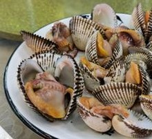 Chinese Razor Clam