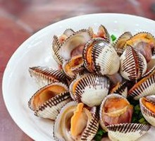 Blood Clam