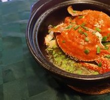 Spider Crab