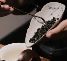 Qingxin Oolong
