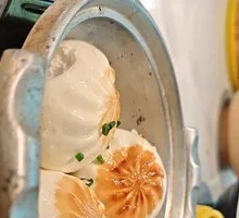 Pan-Fried and Baked Meat Dumplings