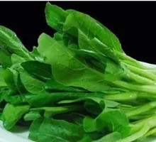 有机青菜
