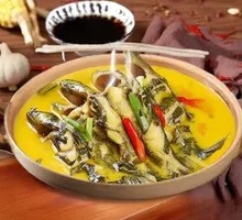 Signature Yellow Catfish