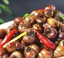 Spicy Stone Snail