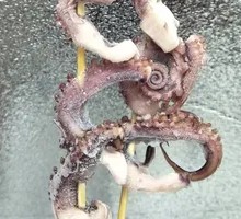 Dancing Squid Skewers