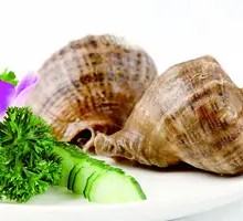 Giant Abalone