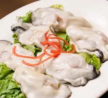 Plump Zhanjiang Oysters