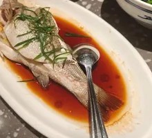 Steamed Sea Bass
