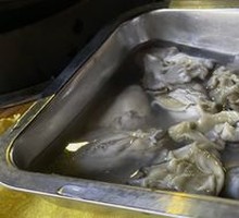 Oyster