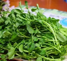 Watercress
