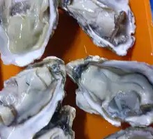 Fresh Oyster Meat