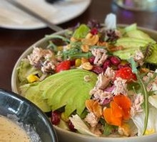 Avocado Tuna Salad